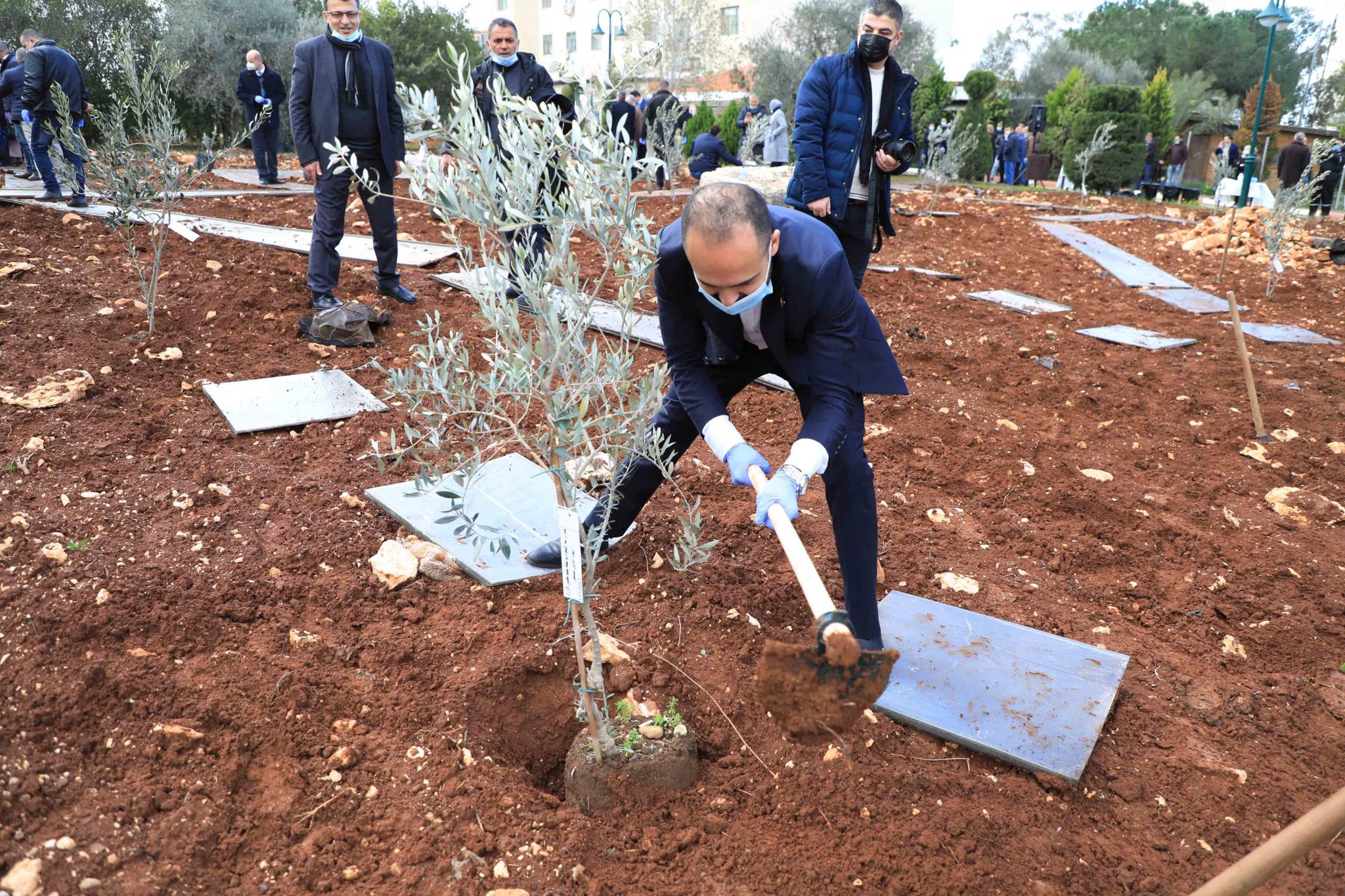 جانب من زراعة اشجار الزيتون في الجامعة بمناسبة يوم الشجرة العالمي
