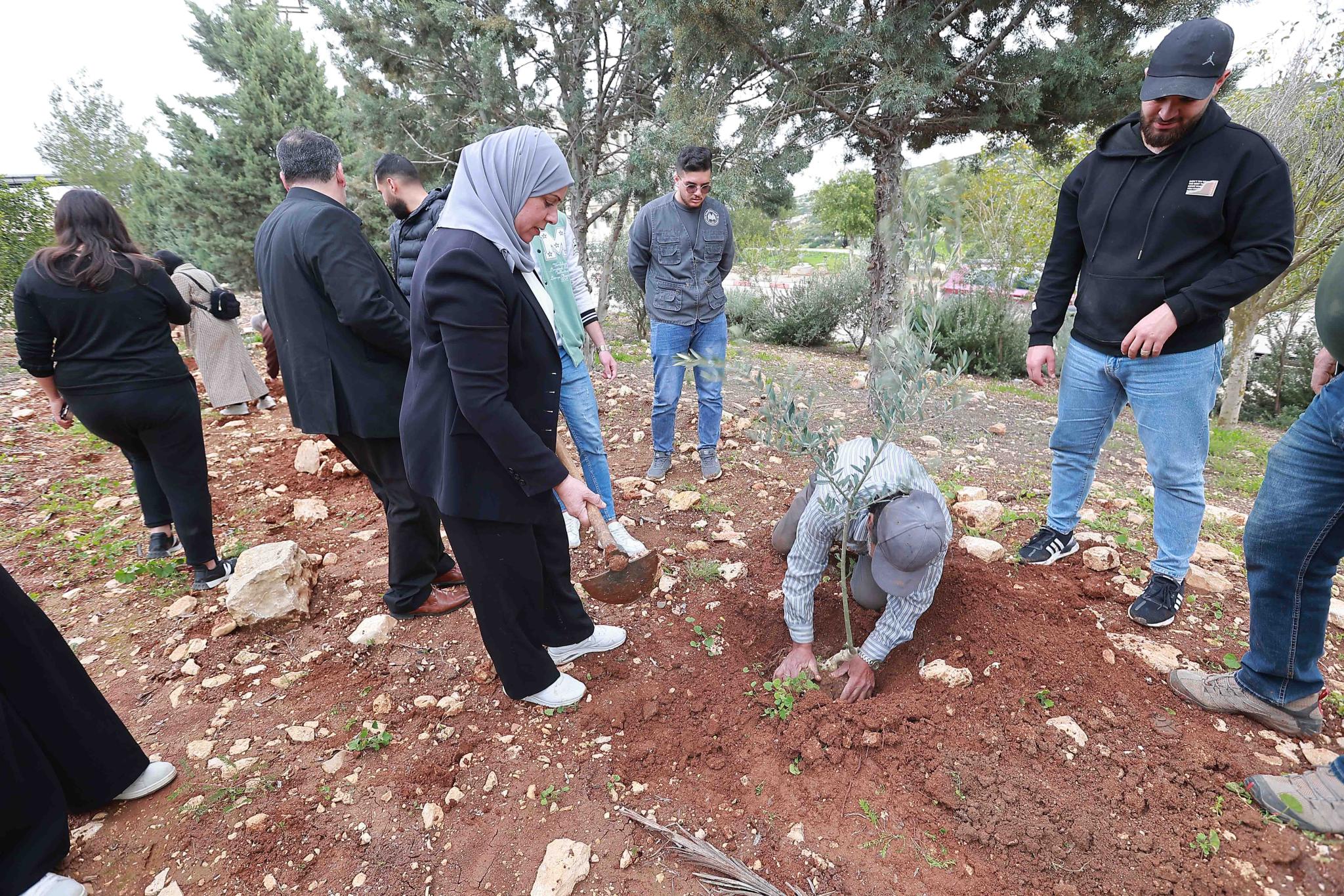 AAUP and the Ministry of Agriculture Implement an Agricultural Activity in the Area Surrounding the University