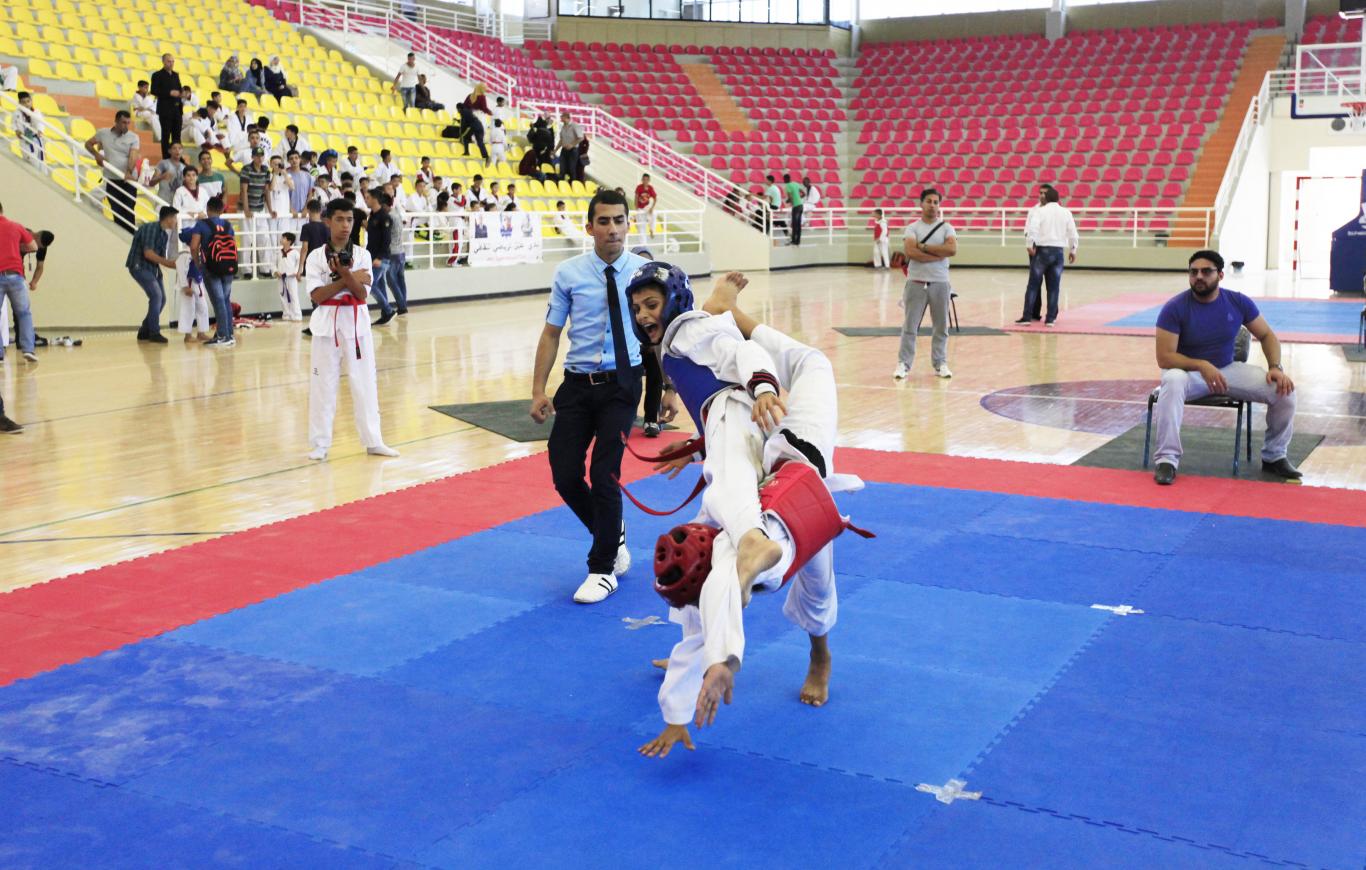 Third Korean Ambassador Taekwondo Championship