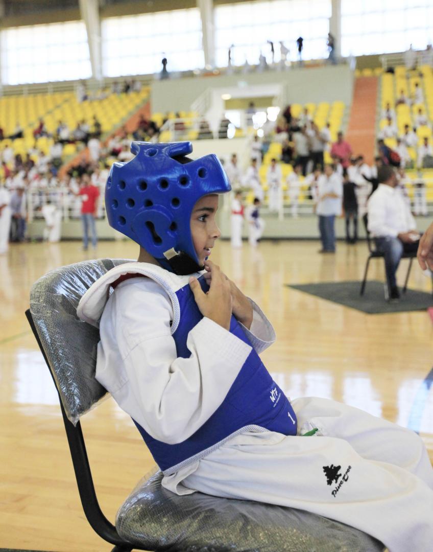 Third Korean Ambassador Taekwondo Championship