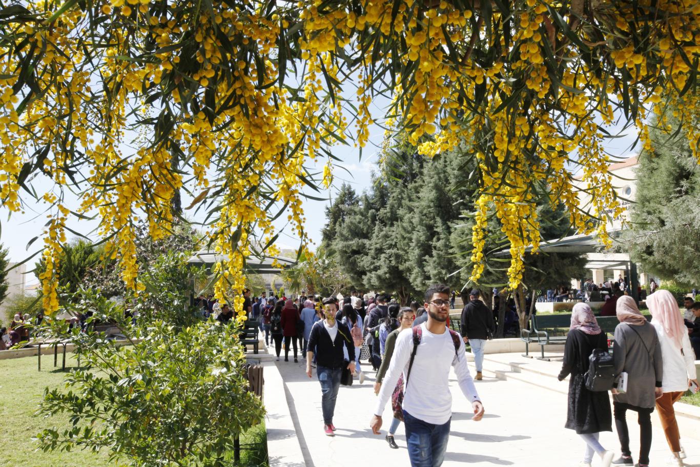 The beginning of spring season at the university
