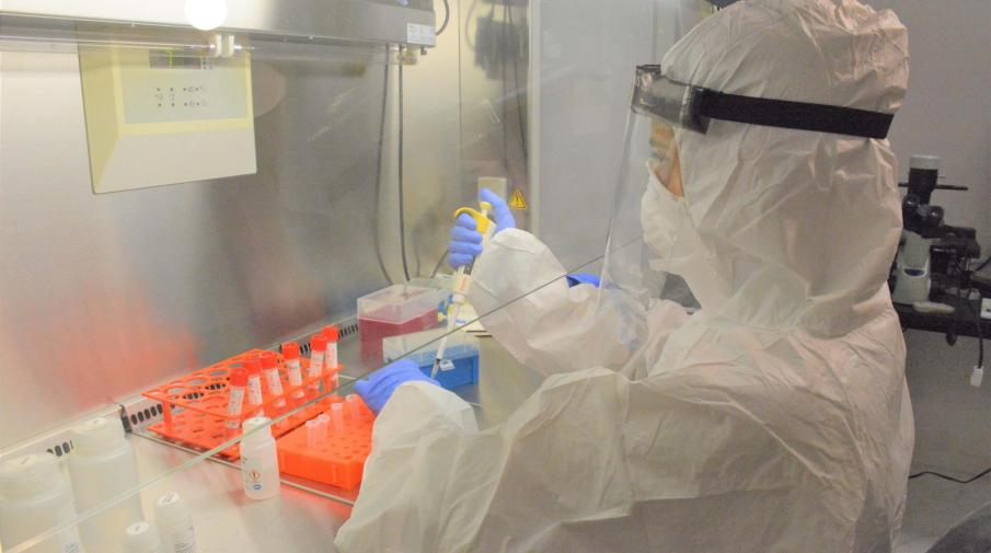 وزارة الصحة الفلسطينية و الجامعة تكشفان وجود 67 حالة اصابة جديدة بمتغير دلتا من فيروس كورونا