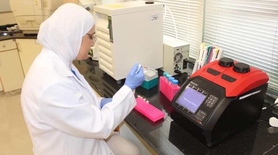 Dr. Riham Nazzal, Assistant Professor in the Basic Medical Sciences Unit at the University