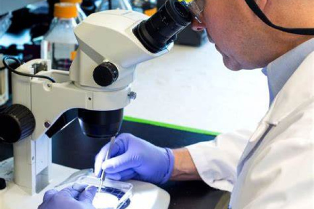 Biomedical engineer