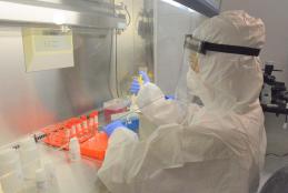الجامعة و وزارة الصحة الفلسطينية تكشفان وجود حالات إصابة بالسلالات الجديدة من فيروس كورونا في فلسطين