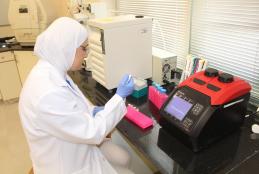 Dr. Riham Nazzal, Assistant Professor in the Basic Medical Sciences Unit at the University
