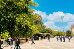 University Campus in Jenin