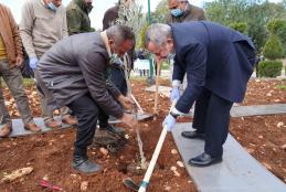 AAUP and the Ministry of Agriculture Celebrates Arbor Day by Planting Olive Trees in AAUP Campus
